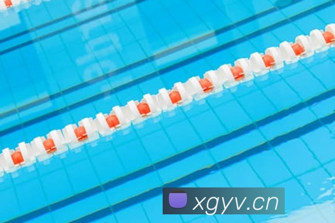 乐竞官网app登录入口服务体系